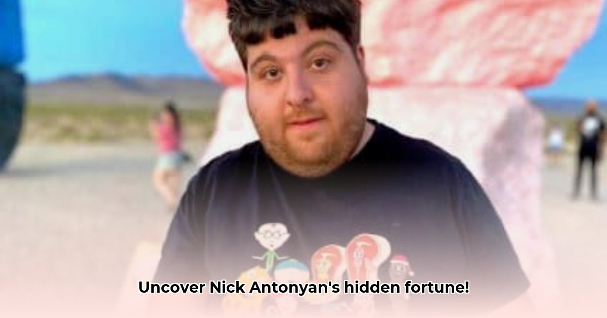 nick-antonyan-net-worth